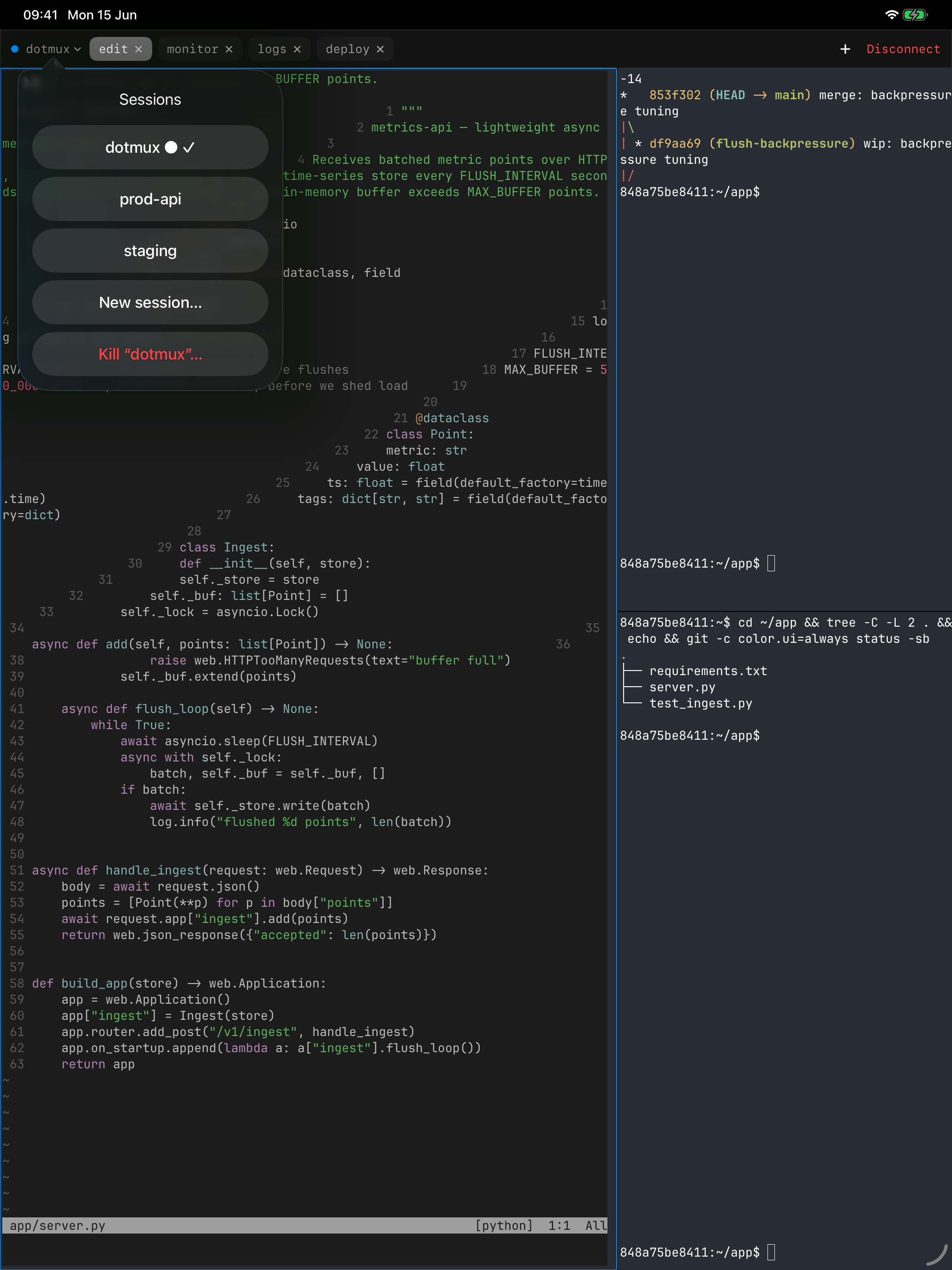 The dotMux session picker on iPad listing the tmux sessions available on the host.